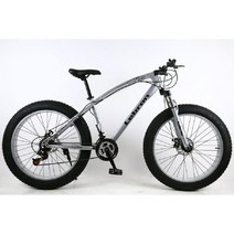 펫자전거 팻 바이크 광폭 성인 mtb, 27단, 24인치, 실버