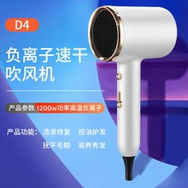 차이슨 음이온 헤어 드라이기 가정용 케어 속건전기 대풍력 무소음, 호월백【1200W 고출력】30초 속건-콜라겐 리페어