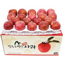 청정 영주소백산사과 가정용 꿀부사 5kg 8kg 10kg, 8kg대과(22~24과내외)