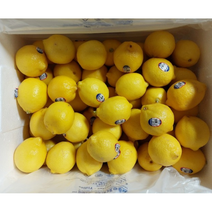 최상급 신선한 레몬 팬시 레몬 lemon 레몬대과 미국레몬 칠레레몬 개당120g내외 미국산 칠레산, 30개