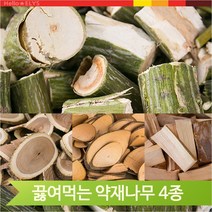 건조 노각 다릅 생강 벌나무 4종 끓여먹는식수 건강차, 벌나무(185A)