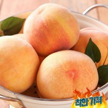 [초록자연] 천중도 백도 복숭아 4kg (11-13과) (왕특), 상세 참조