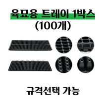 [좋은농자재] 육묘 트레이(1박스-100개), 50구