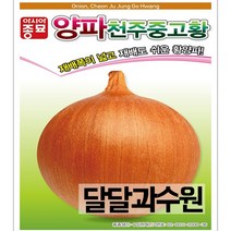 아시아종묘 천주중고황 씨앗 100g 종자 양파씨 황양파 씨앗종자