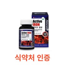네추럴라이즈 액티브 철분 100캡슐 철분 영양제 철분 보충제 헤모그로빈 비헴철 임산부 철분 청소년 가임기 여성 철분제 캐나다 대용량 영양제 온가족 에너지생성 필수영양소 철분제, 1통, 100캡슐X1개