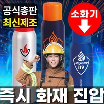 놀랙 애니원119 차량용소화기 스프레이형 전기차 가정용 캠핑 소공간소화장치, 실버(용량450g)