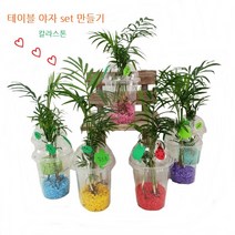 트리앤 개운죽 테이블야자 행운목 마리모 식물 키우기 개운죽 키우기, 5-3. 테이블야자 색돌 핑크 1개, 1개