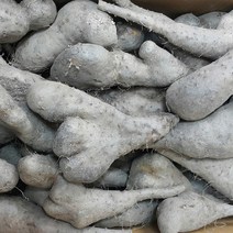 산마 2kg 5kg 안동 / 알뜰 실속
