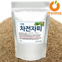 차전자피 가루 식이섬유 분말 변비직빵, 차전자피가루300g