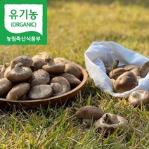 [해담은농장] 유기농 생표고버섯 1kg/4kg 국내산 참나무, 1개, 상품1kg