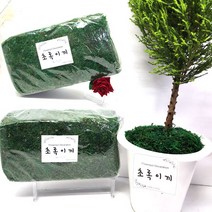 초록이끼 인조이끼 / 약650g / 마른이끼 / 화분 데코레이션 조화장식 인테리어소품 인조이끼, 1개