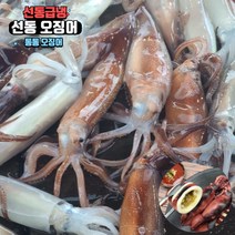 원양 선동 오징어 냉동 통 오징어 통찜 숙회 통오징어찜, 3kg, 1개
