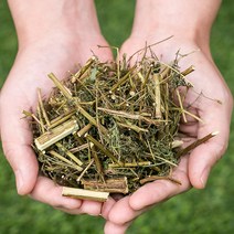 봉래 국산 개똥쑥 200g/쑥차/쑥환/개똥숙/말린개똥쑥/건개똥쑥/건강차 식품 > 건강식품 전통건강식품 기타전통건강식품/한방재료, 200g, 1, 200g” class=”wr-img”></a></div></p></div></p></div></p></div><div class=