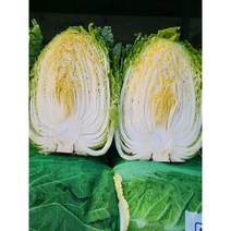 (도도) 22년도 해남 배추(1망 3포기) 6kg 8kg 10kg, 10kg 내외 1망(대 3포기)