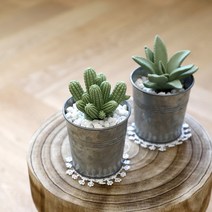 아로마앤코 [아로마코] 선인장 석고디퓨저 리드 (교체용), 가든 - 알로에 (플라워미스트)