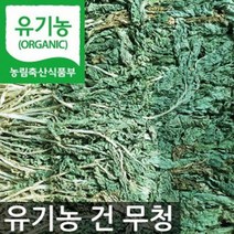 유기농 무청 시래기 무우 건조 시래기 무우청 500g 씨래기 씨레기 건시래기 국산 건무청 말린채소 건야채