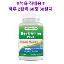 [당일 국내발송] Best Naturals 베르베린 플러스 1000mg 캡슐 120정, 60개, 1개
