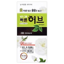 광동제약 내가그린 빠른허브 헤어칼라 2호 자연흑갈색, 1개
