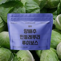 뻥차 양배추 민들레뿌리 루이보스 호박 진피 모과 블랜딩티 생분해성 삼각티백 긴끈 카페인없는 물대신차, 2g, 100개입