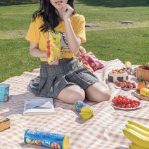 뉴펀 디자인의 [기회공작소] 체크무늬 돗자리/캠핑돗자리/옥스퍼드돗자리/피크닉매트 대형 세련된, 돗자리 민트 중형