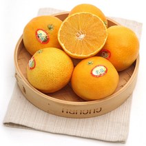 제주 명품 황금향 산지직송 선물용 2.5kg 4.5kg 노지 하우스 타이벡, 제주 황금향 15-20과 / 2.5kg, 1개
