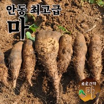 안동 최고급 장마 산마 햇마 2kg 5kg 산지직송 국내산 참마 생마, 2kg 산마 중품, 1개