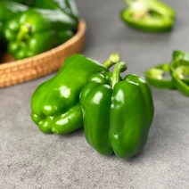 국내산 피망 청피망 10kg 5kg 3kg 2kg 1kg내외 빛고을장터, 1box, 청피망 10kg내외