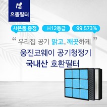 AP-3008FH 웅진코웨이공기청정기호환필터/2개한세트, 단품