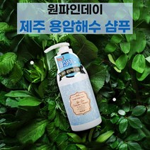 원파인데이 제주 용암 해수 쿨링 쿨 샴푸 민감성 두피 케어 수분 청량 모발 윤기 영양 노폐물 제거 500ml 추천 후기 [로코스샵 홈쇼핑], 원.파.인.데.이.제.주.용.암.해.수샴.푸_500ml