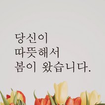 모노먼트 한글 감성 레터링 스티커 - 당신이 따뜻해서 봄이 왔습니다, L-032, 검정