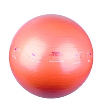 임산부 짐볼운동법 스티커짐볼 65cm 레드 크런치운동 브릿지운동
