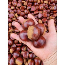 공주밤 간편식 군밤 특대알밤 생율공주밤 공주햇밤 알밤농장 영양간식 산지직배송, 공주 알밤(대) 4kg