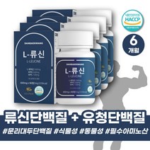 필수아미노산 근육보충제 단백질 보충제 류신 보충제 알약 단백질정 류신 타블렛 BCAA BACC 루신 뉴신 WPC 비씨에이 운동후 운동전 헬스 단백질 WHEY 웨이프로틴 WHEY프로틴 WPI