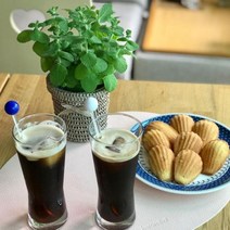 애플민트 식용 허브 실내공기정화식물 키우기 화분 꽃, 01_애플민트, 1개
