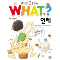 인체, WHAT SCHOOL
