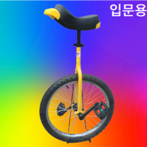 DH 외발 자전거 입문용 한발, 20인치-블루