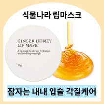 식물나라 진저허니 립마스크 20g 나이트 립케어 고보습 꿀추출물 립밤 입술각질 입술팩 립각질제거 립마스크 진저슈가 슬리핑팩 립팩 립마스크, 6개