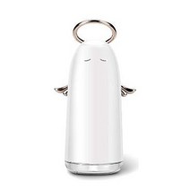 [TEAESTAR]귀여운 미니 차량용 가습기 휴대용 천사가습기 [에이런]USB 사무실용, 골드