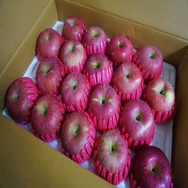 [경북사과]고당도 알뜰 햇사과 특가행사 가정용, 1box, 08.가정용 사과 5kg/중대과