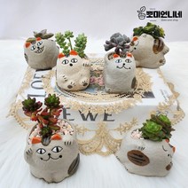 미니화분 다육이 화분 선인장 홈가든 인테리어 냥이 도자기 캐릭터 개업 사무실 선물 답례품, 03.C