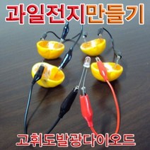 하beee_과일전지실험키트 과학교구 만들기 학습 교육용 교재♥ress, ♥resuruction!!