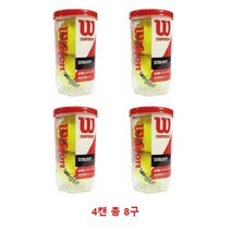 윌슨 챔피언쉽 테니스공 (캔당 볼2개), 4캔