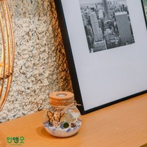 수경재배 반려식물 마리모 어항 LED항아리 선물세트, LDE항아리흰자갈대+흑자갈