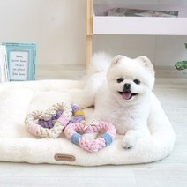 하트 로프 토이 M사이즈 강아지 치실 토이 치석 제거, 치즈스토어 패리스독 하트 로프 토이 - 미디움