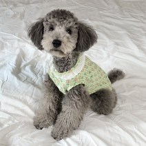 멜팅룩 강아지옷 체크 꽃 블라우스 셔츠 조끼 남방 고양이옷, 그린