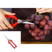 원예 전지가위 18.5cm 조경자재 농사용품 포도가위 잔디가위 전지용가위 꽃꽂이가위 가지치기가위 하우스자재 원