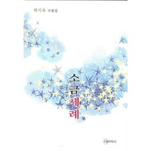 소금세례:박기옥 수필집, 수필미학사, 박기옥 저