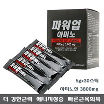 그린헬스케어 파워업 아미노 2박스/단백질 아미노산 3800mg고함량 BCAA 비타민군 옥타코사놀 보충제, 2박스, 5g 30포