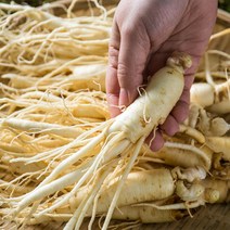 [실속형]금산 인삼 5년근 800g+덤200g 산지직송 막삼 난발삼, 1개, 원수삼300g+덤75g(무세척)