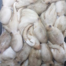 급냉 활쭈꾸미 1kg 10미내외, 1개